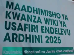 WADAU WA SEKTA YA USAFIRISHAJI WAIPONGEZA TBS KWA KUWAPA ELIMU YA VIWANGO , MAADHIMISHO YA KWANZA WIKI YA USAFIRI ENDELEVU ARDHINI 2025.