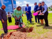 WIZARA YA VIWANDA NA BIASHARA WAPANDA MITI KUMUUNGA MKONO RAIS SAMIA SIKU YAKE YA KUZALIWA