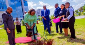 WIZARA YA VIWANDA NA BIASHARA WAPANDA MITI KUMUUNGA MKONO RAIS SAMIA SIKU YAKE YA KUZALIWA