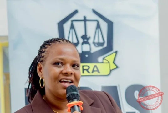 MFUMO WA IDRAS KUONGEZA UWAJIBIKAJI NA UWAZI KATIKA TAASISI ZA UMMA