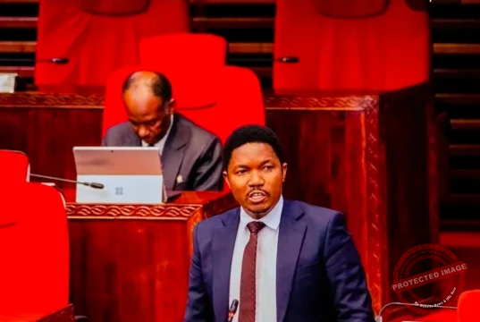 SERIKALI YAPOKEA HOJA YA DK. JAFO YA AJIRA ZA ‘PART-TIME’ KWA VIJANA