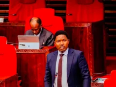 JAFO KUJA NA HOJA BINAFSI KUPENDEKEZA MPANGO MAALUM WA AJIRA ZA MUDA MFUPI KWA VIJANA