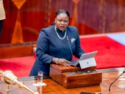 TIRDO YAENDELEA KUTAMBUA FURSA ZA UWEKEZAJI