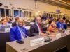 WAZIRI SANGU AONGOZA UJUMBE WA TANZANIA MKUTANO WA 114 ILO