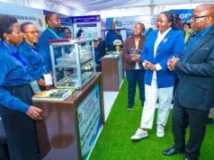 KAPINGA: WATANZANIA WAJITOKEZE SABASABA, BIDHAA ZA NDANI ZAZIDI KUBOREKA.