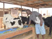 MIAKA 40 YA COSTECH: UTAFITI UNAVYOBADILI MAISHA YA WAFUGAJI