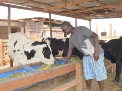MIAKA 40 YA COSTECH: UTAFITI UNAVYOBADILI MAISHA YA WAFUGAJI