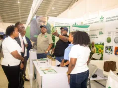 RUZUKU YA SERIKALI YAPUNGUZA GHARAMA ZA MBOLEA KWA WAKULIMA